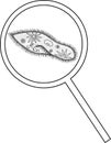 Coloring page with Paramecium caudatum under magnifying glass isolated on white